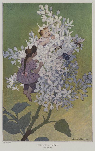 アニメーションの花。ライラック。 （生花：ライラック） 作： after Firmin Bouisset