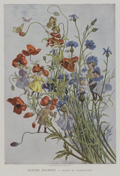 フルールAnimees。 Bluets et Coquelicots。 （生花：ヤグルマギクとポピー） 作： after Firmin Bouisset