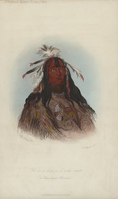 H？co-ah？co-ah？cotes-min、フラットヘッドウォリアー（アクアチント） 作： after George Catlin