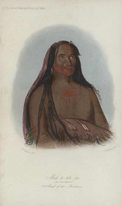 Mah-to-toh-pa、The Four Bears、2nd Chief of the Mandans（アクアチント） 作： after George Catlin