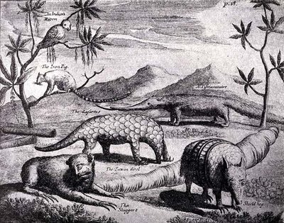 初期の芸術家が描いた北川プレートの生き物、ニーアホーフスの航海と旅行、川プレートのロマンス、Vol。私、WHケーベル作、1914年 作： after German School