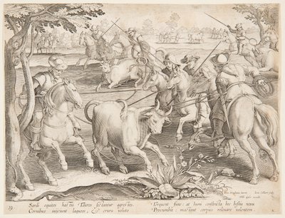 野生の雄牛の捕獲 作： after Jan van der Straet, called Stradanus