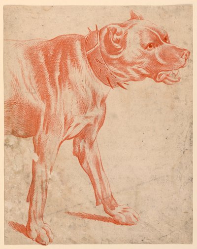 犬の前部 作： after Jean Baptiste Huet