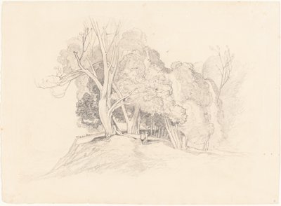 木のある風景 作： after John Sell Cotman British 19th Century