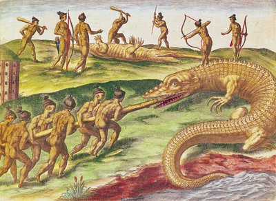 狩猟ワニ、「ブレビスナラティオ...」、セオドアドブライ発行、1591年（カラー彫刻） 作： after Le Moyne, J.Bry