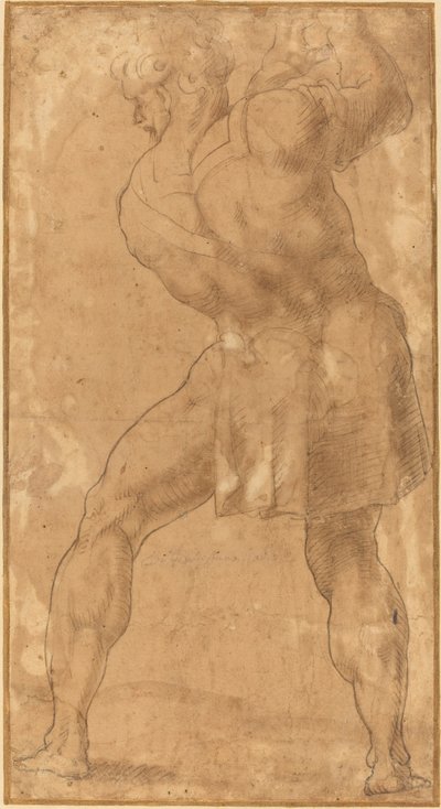 男の姿 作： after Polidoro da Caravaggio