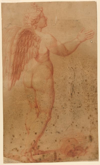 ラファエルの後、ゼウスと議論するアモールのキューピッド 作： after Raphael
