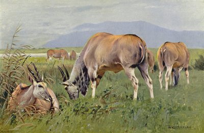 エランド 作： after Wilhelm Kuhnert