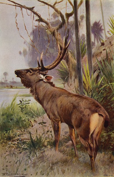 サンバへ 作： after Wilhelm Kuhnert