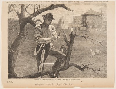 春の農作業 – 接ぎ木 作： after Winslow Homer