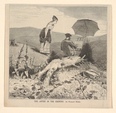 The Artist in the Country、Appletons