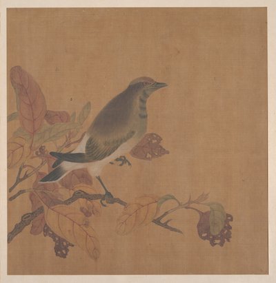 枝の上の鳥 作： 匿名