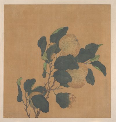 実をつけた木の枝 作： 匿名