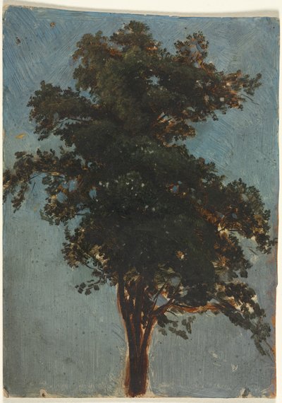 木の研究 作： attributed to Alexandre Calame