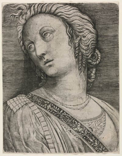 女性のバスト 作： attributed to Jacopo de
