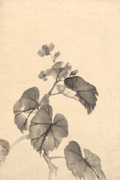 満開のベゴニアの枝 作： attributed to Kono Bairei