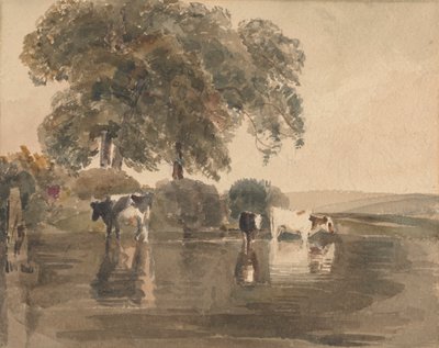 プールの牛 作： attributed to Peter DeWint