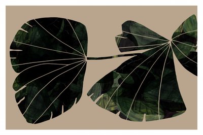 「緑の葉」の抽象画 作： cartissi