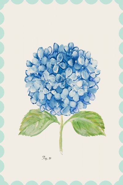 青いアジサイのイラスト 作： cartissi