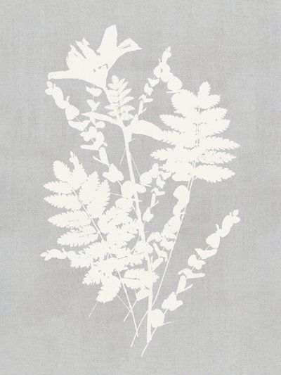 植物のシルエット研究 作： cartissi