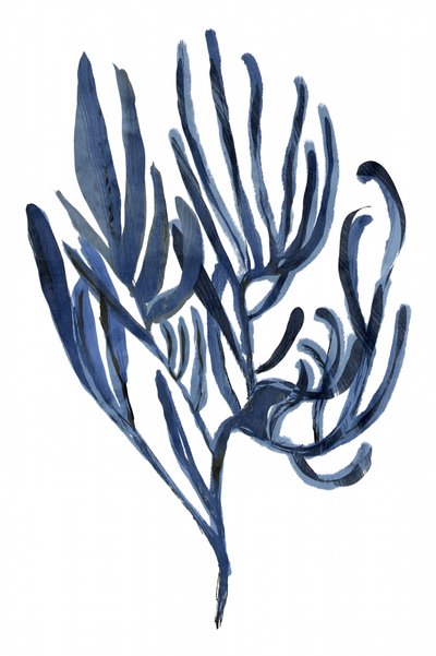 深海の植物相 作： cartissi