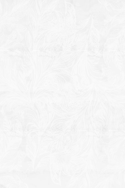 繊細な霜の模様 作： cartissi