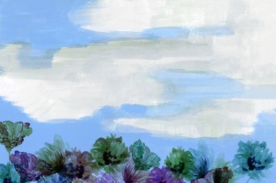 夢のような花の空 作： cartissi