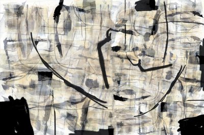 作： cartissi