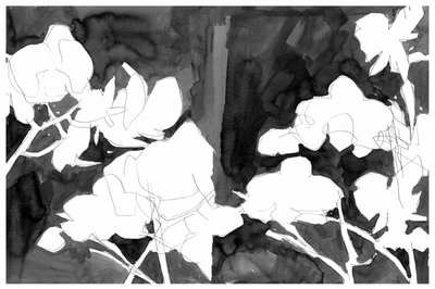 優雅な夜の花 作： 