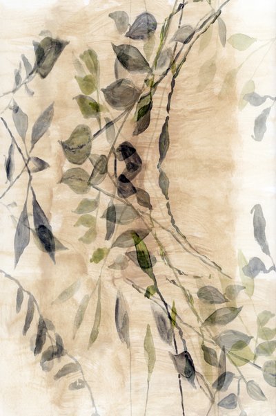 優美な植物の流れるような美しさ 作： cartissi