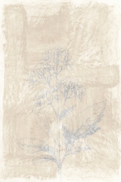 色あせた植物スケッチ 作： cartissi