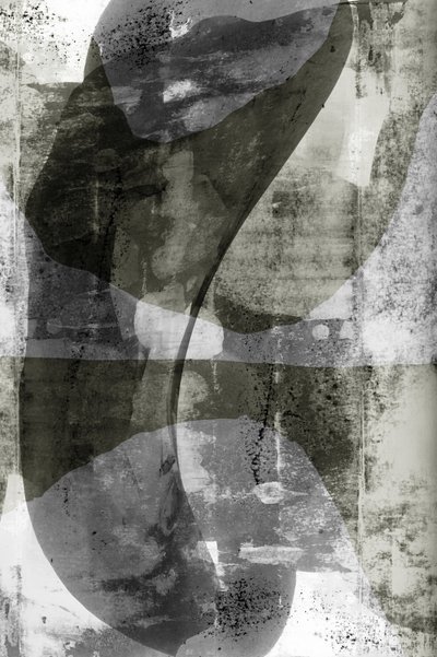 流動的なモノクロの造形 作： cartissi