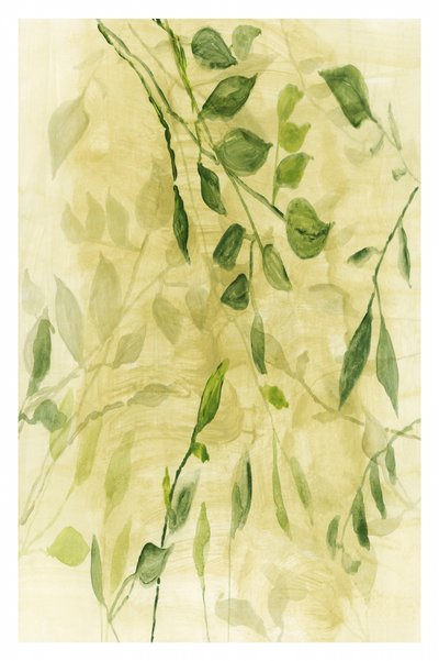  作： cartissi