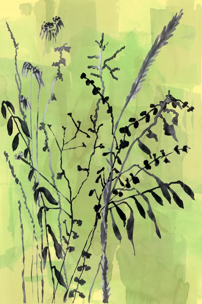 緑の植物のシルエット 作： cartissi