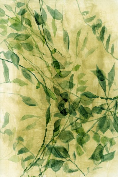 緑の水彩画の葉 作： cartissi