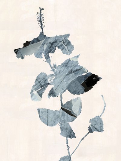 ハイビスカスの花 抽象画 作： cartissi