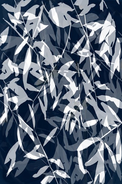  作： cartissi