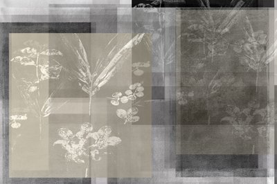 重層的な植物の抽象表現 作： cartissi