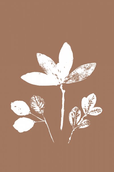 対照的な葉 作： cartissi
