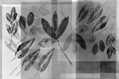 モノクロの植物のレイヤー 作： cartissi