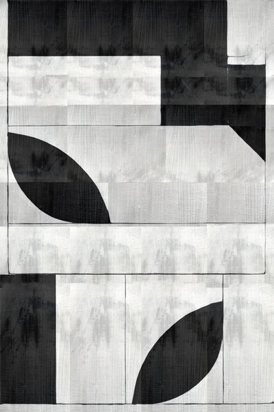 モノクロの有機的な形状 作： 