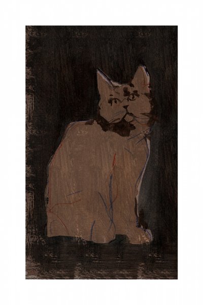 不機嫌そうな猫の肖像画 作： cartissi