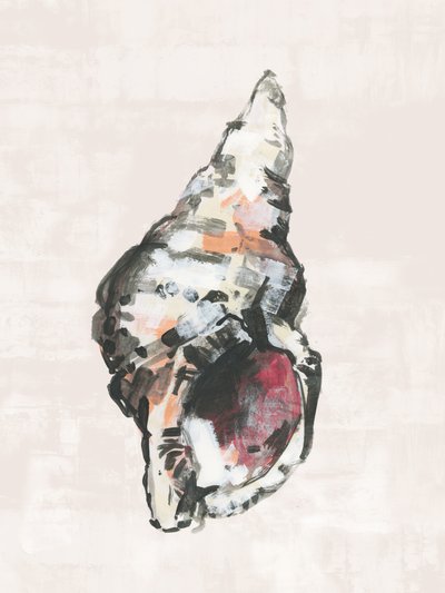 彩色された海岸の貝殻 作： cartissi