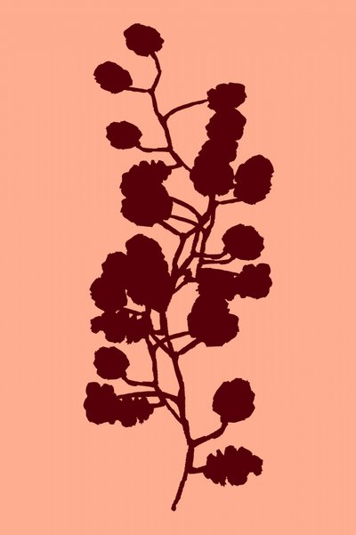 ピーチの植物シルエット 作： cartissi