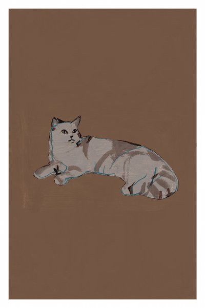 のんびりした灰色の猫 作： cartissi