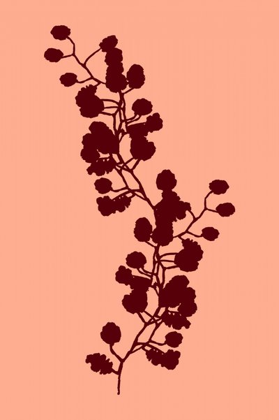 温かみのある植物のシルエット 作： cartissi