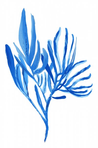 水色をした植物の造形 作： cartissi