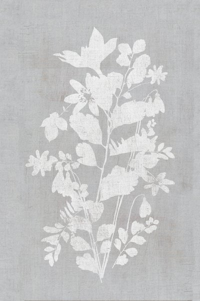 白い花のシルエット 作： cartissi