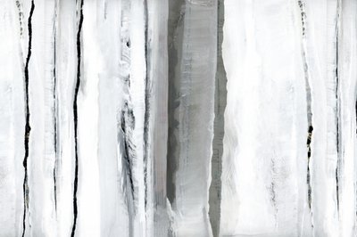 ホワイト・フォレストの抽象画 作： cartissi