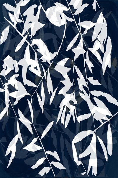  作： cartissi